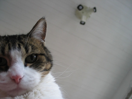 Putter