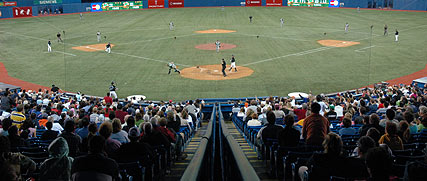 At the Blue Jays / Devil Rays game